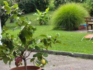 Villa Nusswald - 5