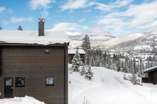 Nyørk Chalet, Hemsedal - 8