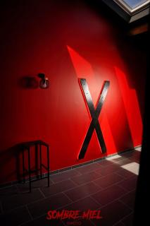 La chambre des plaisirs secrets - 9