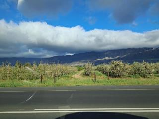 Coco 's Hamlet Flatlet - 9