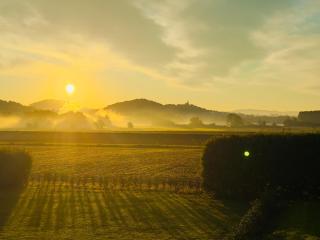 DER KARLSHOF - Natursuiten & Spa - 3