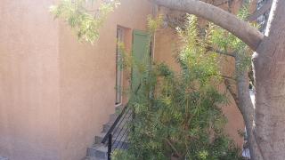 Dans un oasis de verdure - appartement - 7