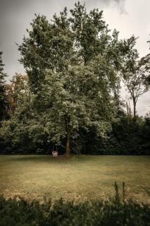 Vakantiewoning De zandberg - 9