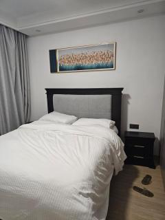 Fancy Apartments in Kileleshwa - 8