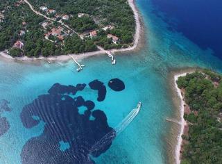 Apartmani Aurelia - 4