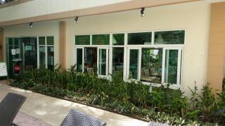 RENOVATED 1 Bedroom Condo in Park Lane - 1