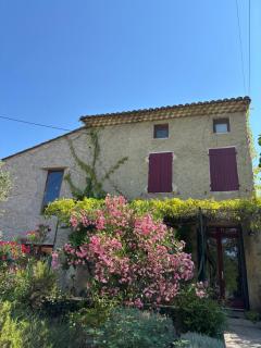 Mas des Bergines, au milieu des vignes - 9