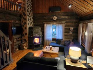 Ahmanpesä Visit Levi - 5