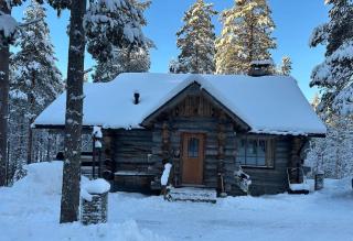 Ahmanpesä Visit Levi - 7