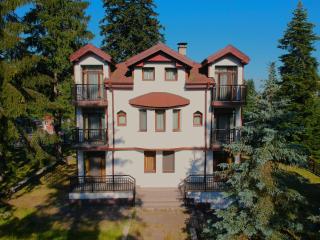 Villa Rila Borovets with Hot Pool, Jacuzzi & Sauna by BookVillaBG - 8
