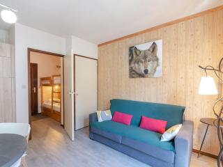Chamonix : Studio charmant, balcon vue Mont-Blanc, parking, wifi, animaux acceptés - FR-1-343-221 - 4