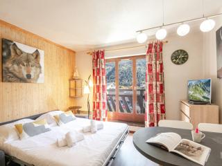 Chamonix : Studio charmant, balcon vue Mont-Blanc, parking, wifi, animaux acceptés - FR-1-343-221 - 3