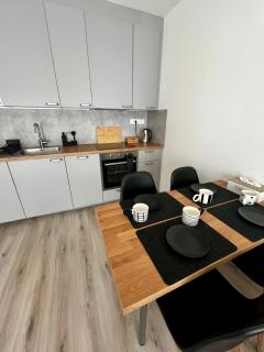 Prague Airport Apartment - 5