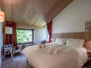 Chalet contemporain avec sauna, cheminée, et grand jardin - FR-1-343-243 - 2