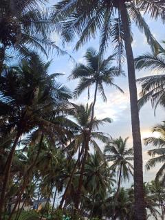 Om Ganesh Naik Guest House - 3