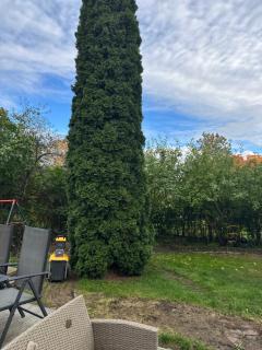 Small guesthouse in garden - 2