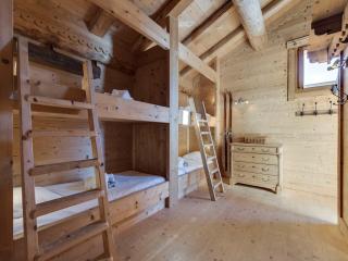 Chalet traditionnel proche des pistes avec grande terrasse - FR-1-690-29 - 1