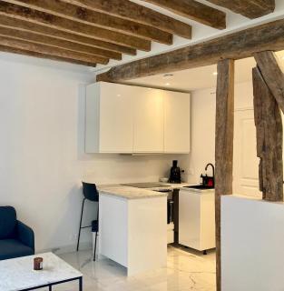 Comfortable studio Place des Vosges - Marais - 8