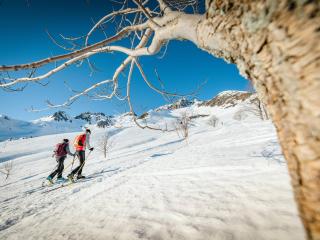 Séjour au ski cosy : T2 pour 6 pers à Saint-François-Longchamp - FR-1-807-7 - 2