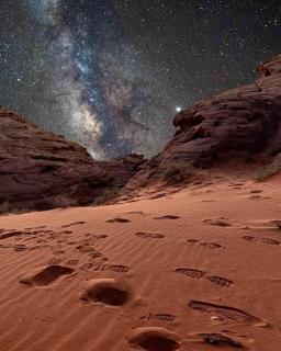 Spirit of the Badia camp - 0