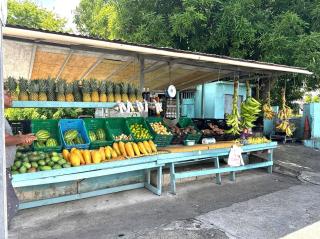 Casita Azul I - 2