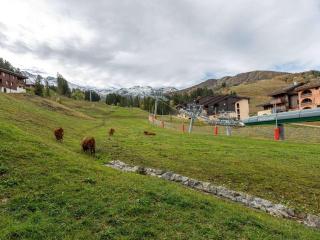 Valmorel: Appartement skis aux pieds, 5 personnes, animaux admis - FR-1-356-191 - 8