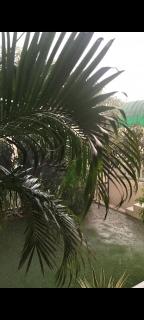 Guest house Bungalow - 7