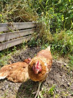 La Suite du Château - 6