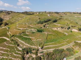 Vina Rhona - Studios de charme tout équipés entre Rhône et Vignobles de Condrieu - 4