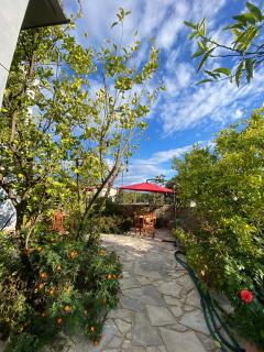 Guesthouse SELI - 9