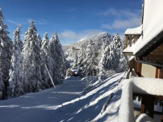 Rocher du Cerf skis aux pieds 3 ch 2 sdb - 9