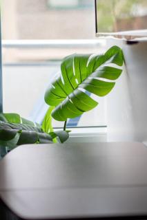 Elegant Studio in DT MTL AC, Wi-Fi - 1