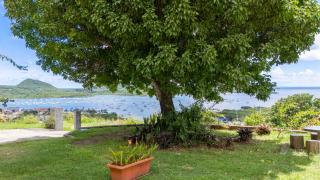 Le tableau vivant - Le Marin - 8