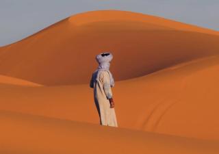 Holiday Luxury Camp - 8