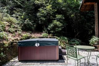 Secluded Delight: Unplug and Reconnect in a Special House in Lake Toxaway's Woods - 4