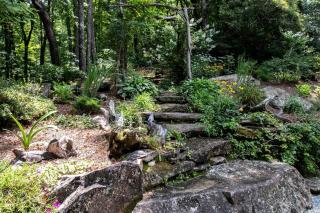 Secluded Delight: Unplug and Reconnect in a Special House in Lake Toxaway's Woods - 3