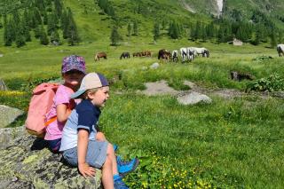 Daniela 10 by SMR Rauris Apartments - inc Spa and near Gondola - 9