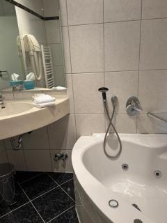 Apartmenthaus Wilder Mann - 8