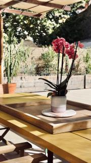 Terrasse Marseille Réformés 6 pièces Marseille Vieux Port - 6