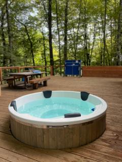 Chalet des Oies, private spa - 1