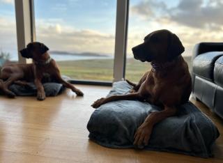 Stac Polly Lodge - 6