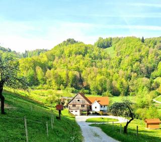 Atelje Mlin Umetnin Retreat - 3