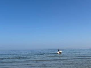 Villa Capucine beach 200 m away, close to Deauville - 0
