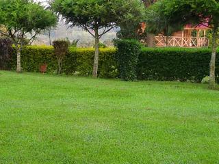 Nature flows Eco-Farm cottage & campsite - 6