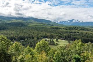 TeeTop Getaway by Avada Properties - 6