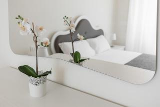 Strada Maggiore Apartment - 9