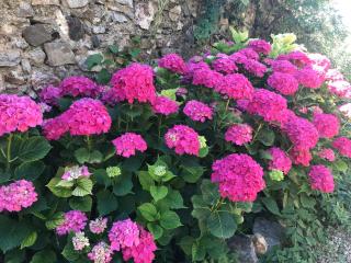 Ma Maison Jaune - Roquessels - Roquessels - 9