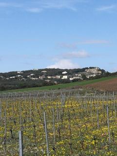 Ma Maison Jaune - Roquessels - Roquessels - 1