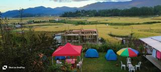 Arara Group Stay - 1