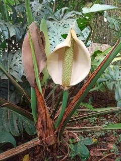 Chácara das Flores - 6